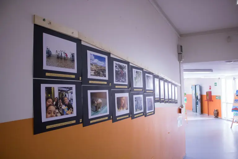 Photography contest, image 1